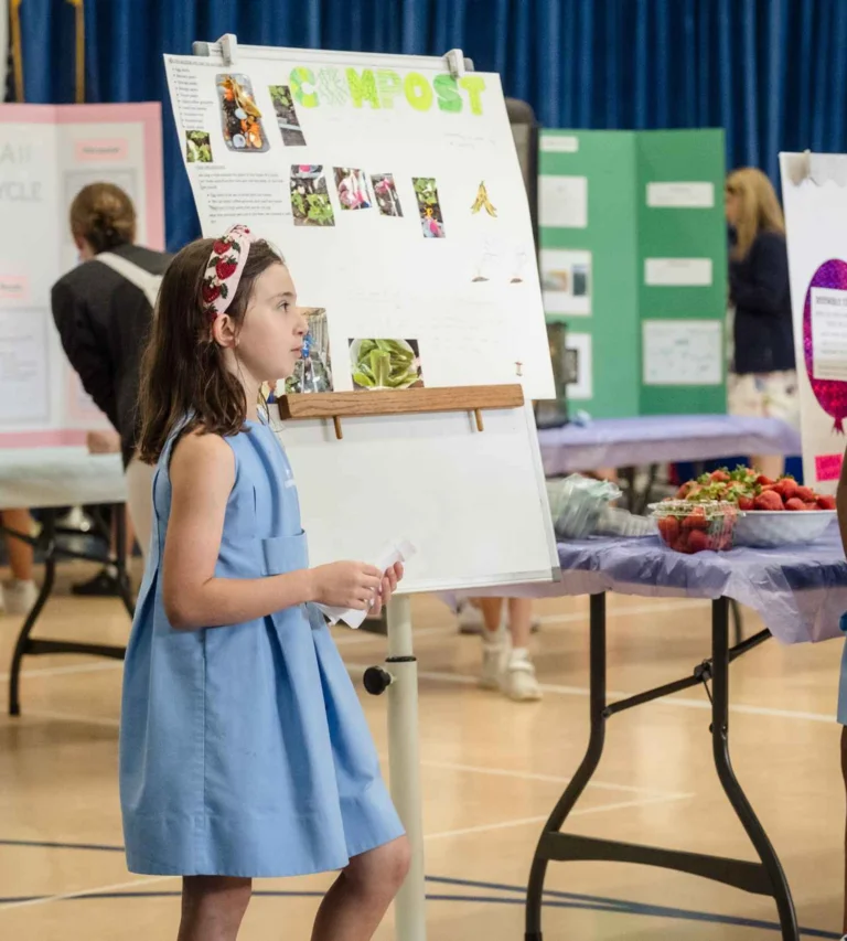 IB World curriculum