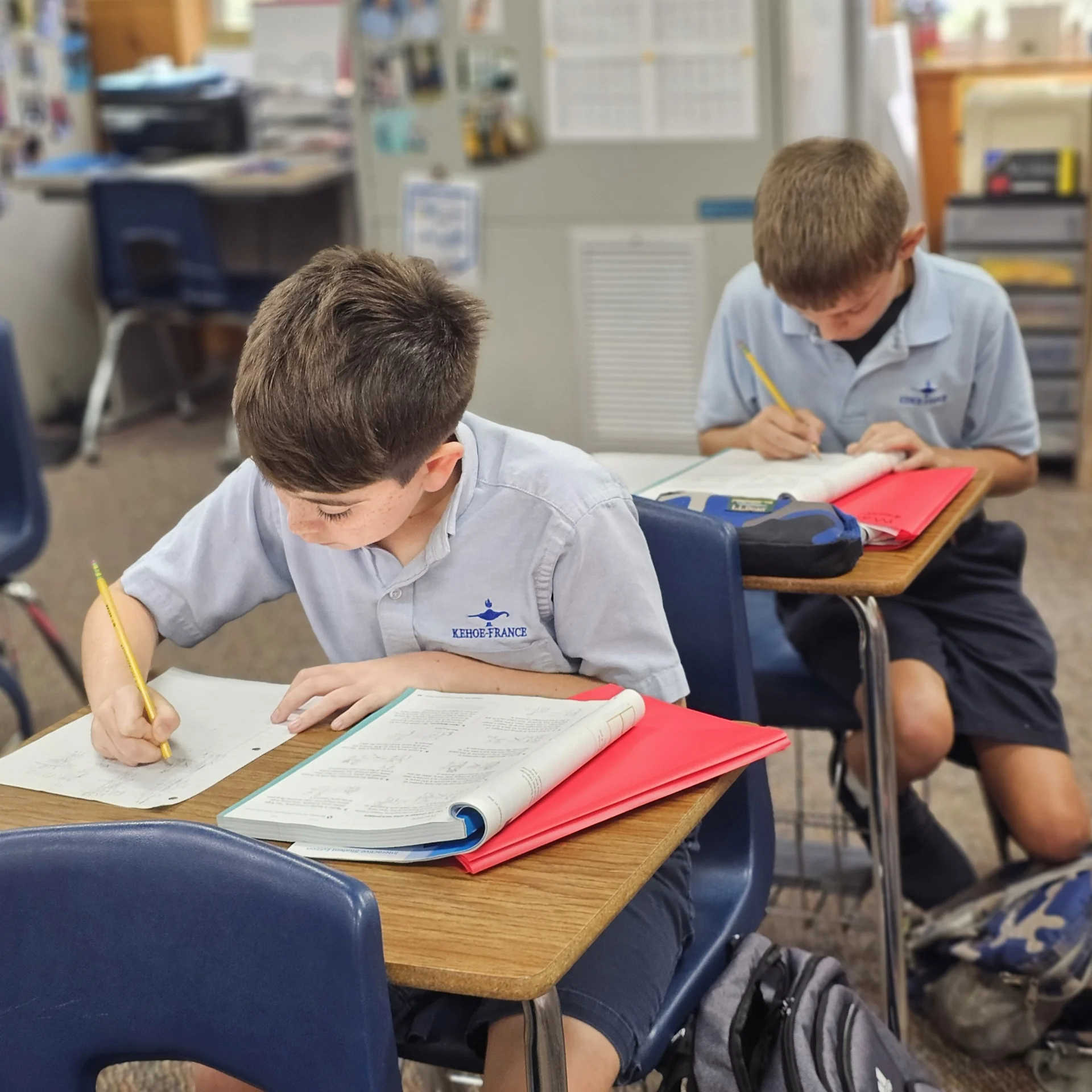 Student wellbeing, support, and success